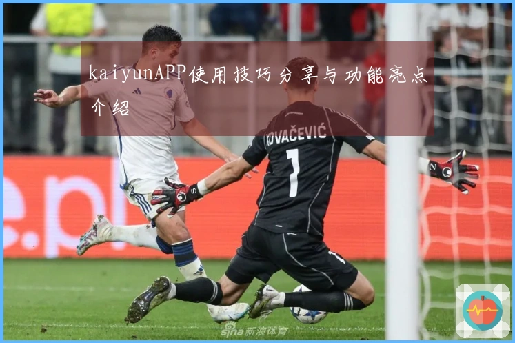 kaiyunAPP使用技巧分享与功能亮点介绍